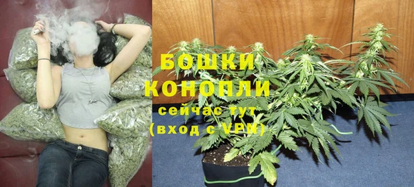 шишки Богданович
