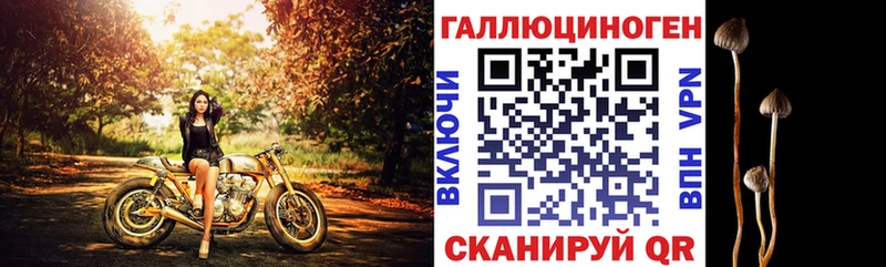 Купить закладки Ахтырский Галлюциногенные грибы Cubensis