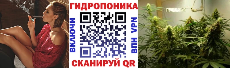 Бошки марихуана план Ахтырский